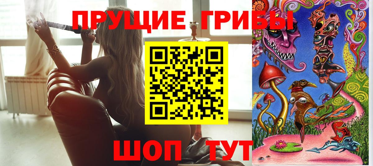 Борисоглебск  Галлюциногенные грибы прущие грибы  Вход с VPN  Псилоцибиновые грибы MAGIC MUSHROOMS 